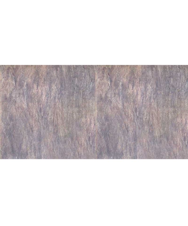 PIS.CN.3838.1.216-1